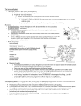 Biological Basis of Behavior Review Sheet (1)