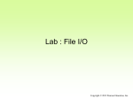File I/O Lab