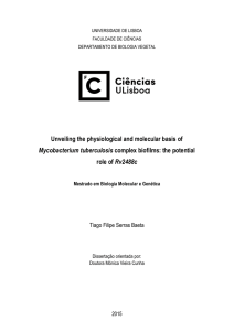 Unveiling the physiological and molecular basis of Mycobacterium