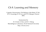 Ch 8. Learning and Memory
