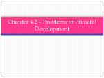 Chapter 4.2 * Problems in Prenatal Development