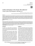 Hurthle Cell Neoplasm of the Thyroid: Still a Dilemma?