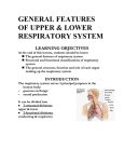 The general features of respiratory system