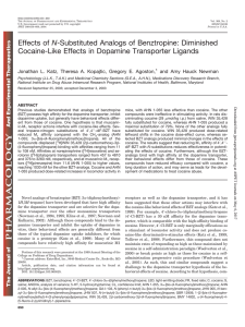 Diminished Cocaine-Like Effects in Dopamine Transporter Ligands