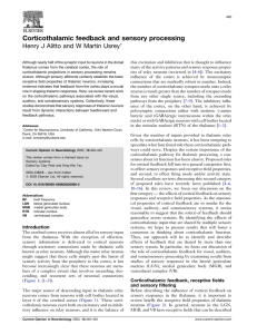 Corticothalamic feedback and sensory processing