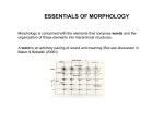 essentials of morphology