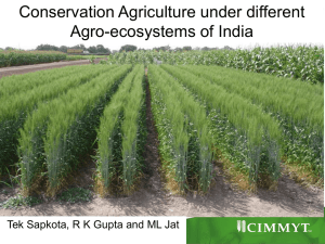 Conservation Agriculture under different Agro Eco
