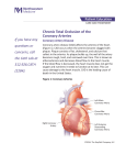 Chronic Total Occlusion of the Coronary Arteries