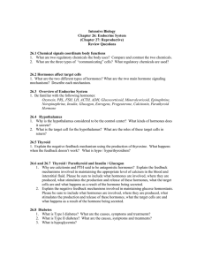 Endocrine Review Sheet