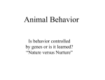 Behavior lecture
