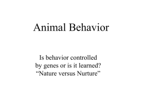 Behavior lecture
