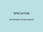 speciation - WordPress.com