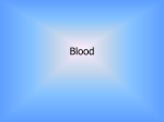 Blood System