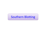 Blotting : Southern, Northern and Western techniques