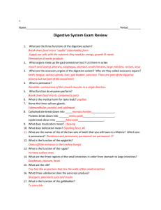 Digestive System Exam Review