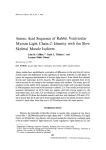 Amino acid sequence of rabbit ventricular myosin light chain