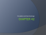 chapter42_circulatio..