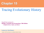 15. Tracing Evolutionary History