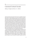 Canonical Cortical Circuits