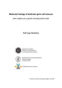Molecular biology of testicular germ cell tumours Rolf Inge Skotheim