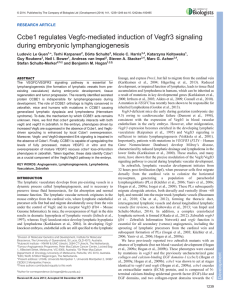 Ccbe1 regulates Vegfc-mediated induction of Vegfr3