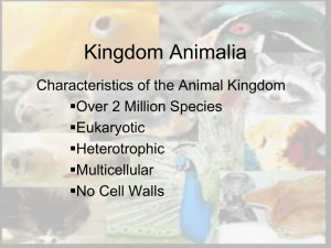 Kingdom Animalia - Hastings High School