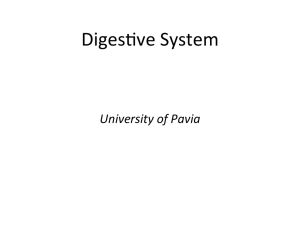 DigesCve System
