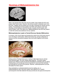 Neurobiology of Methamphetamine Use