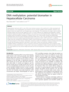 DNA methylation: potential biomarker in Hepatocellular Carcinoma