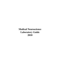 Medical Neuroscience Laboratory Guide 2010