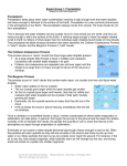 Water Cycle Resources