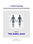 The Ankle Joint