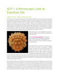 ACP Level 1 A Microscopic Look at Essential Oils