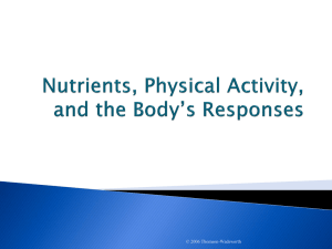 chapter10 Physical Activity