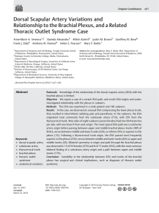 Dorsal Scapular Artery Variations and Relationship to the Brachial