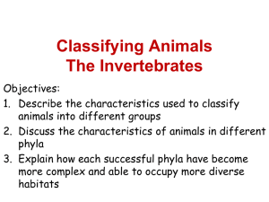 Classifying animals