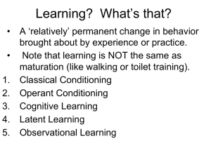 Learning? What`s that?