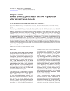 Effects of nerve growth factor on nerve regeneration after corneal