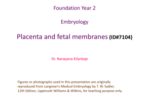 Placenta and fetal membranes(ID#7104)