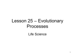 Evolutionary Processes ()