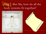 But Ma, how do all the body systems fit together?