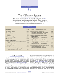 The Olfactory System - Tim J. van Hartevelt