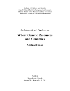 Wheat Genetic Resources and Genomics