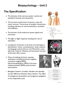 Click here for Biopsychology information pack