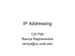 IP Addressing