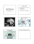 Hypothalamus - aHuman Project
