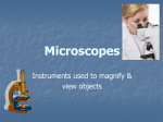 Microscopes history of