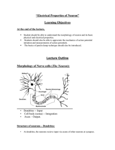 “Electrical Properties of Neuron”