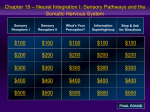 Sensory Receptors I Sensory Receptors II What`s Your Perception?