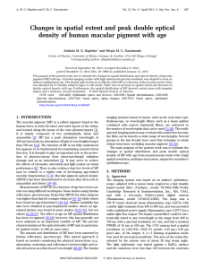 Changes in spatial extent and peak double optical density of human